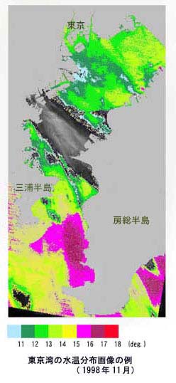 東京湾の水温分布
