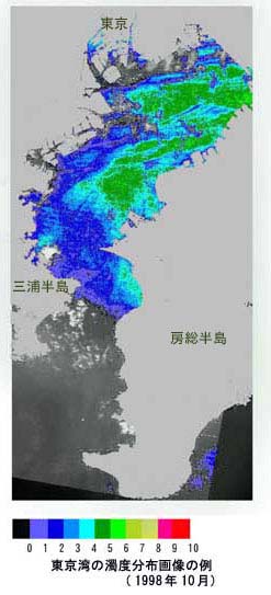 東京湾の濁度分布